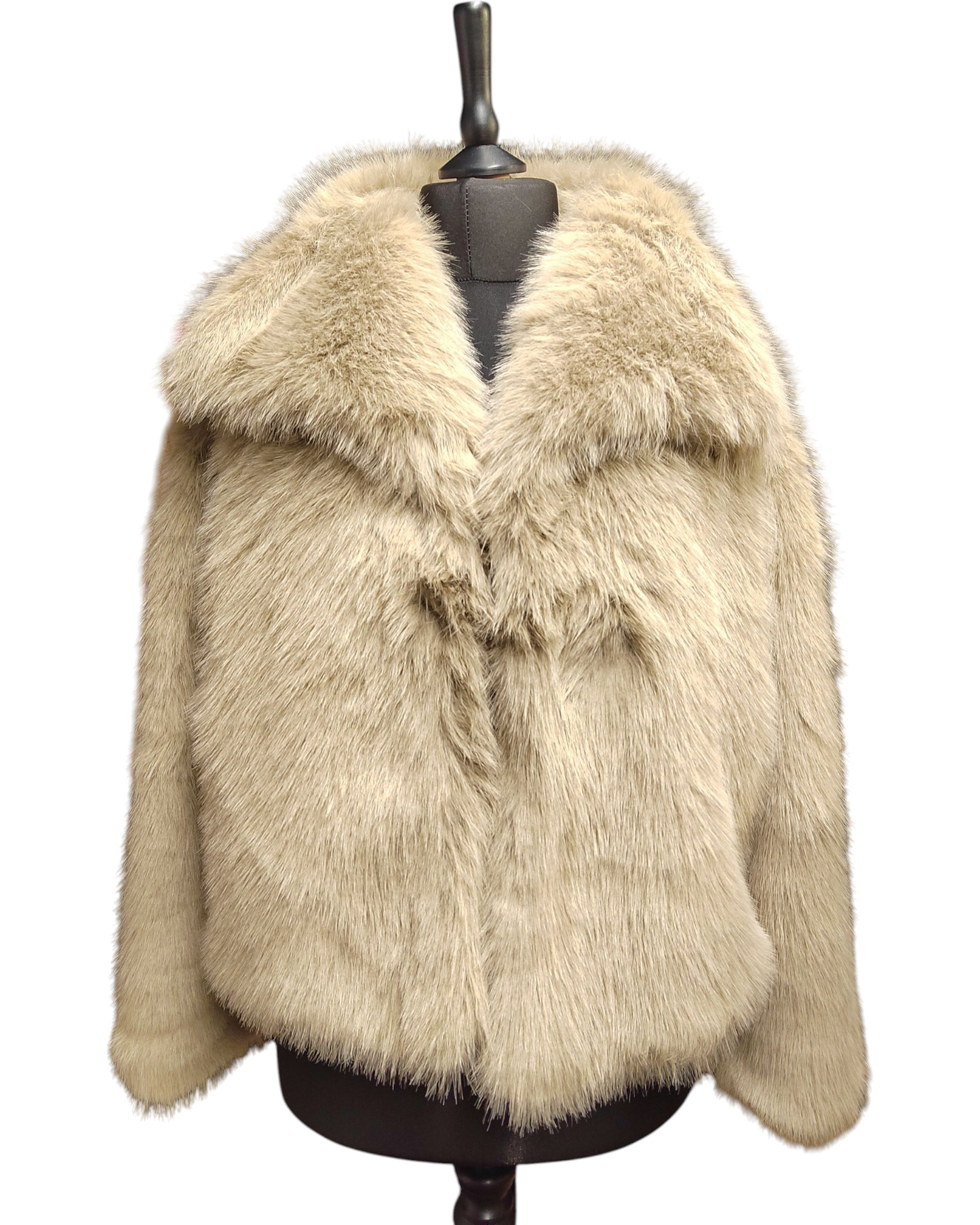 NOEMI (VESTE MANCHE)