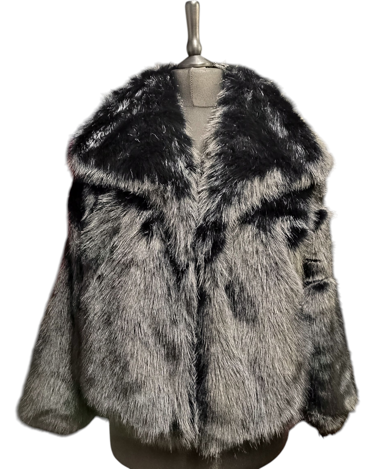 NOEMI (VESTE MANCHE)